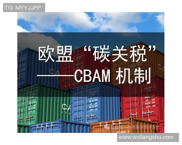 欧盟大力推行CBAM碳边境税,引发全球经济震动