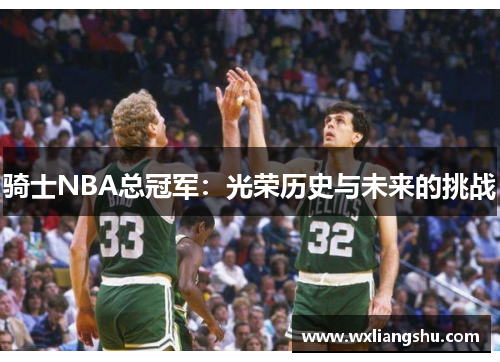 骑士NBA总冠军：光荣历史与未来的挑战