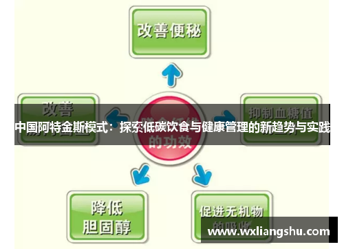 中国阿特金斯模式：探索低碳饮食与健康管理的新趋势与实践